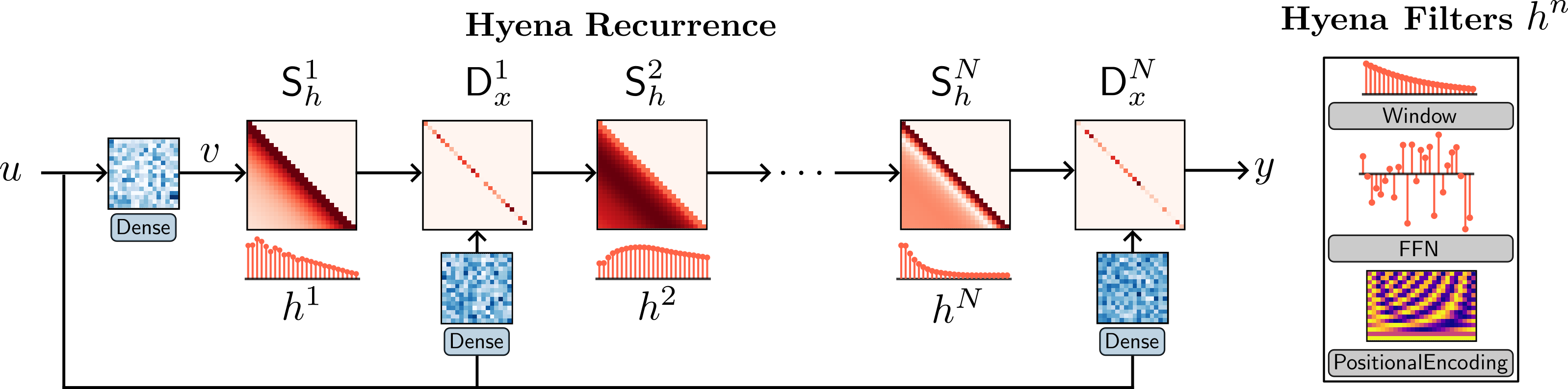 Hyena diagram