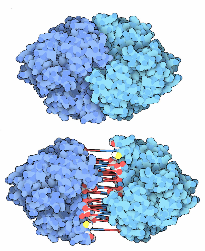 Chemical complementarity